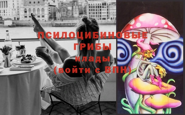 а пвп мука Абаза