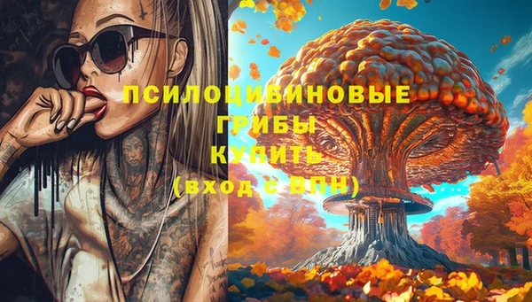 а пвп мука Абаза