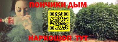 шишки Ивантеевка