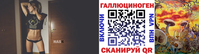 дарнет шоп Мегион Галлюциногенные грибы Cubensis