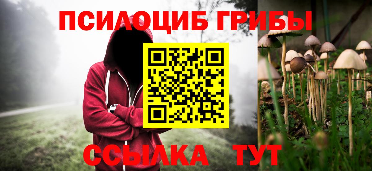 Псилоцибиновые грибы GOLDEN TEACHER  Галлюциногенные грибы MAGIC MUSHROOMS  Вход с VPN  Мегион 